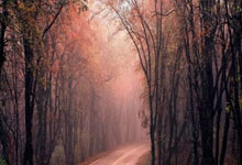 西媒预测巴萨vs赫罗纳首发:拉菲尼亚或回归,亚马尔、莱万在列.