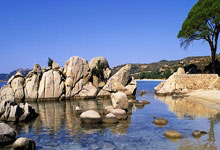 狂欢!邮报:将有超过20万名球迷参加纽卡英联杯夺冠游行.